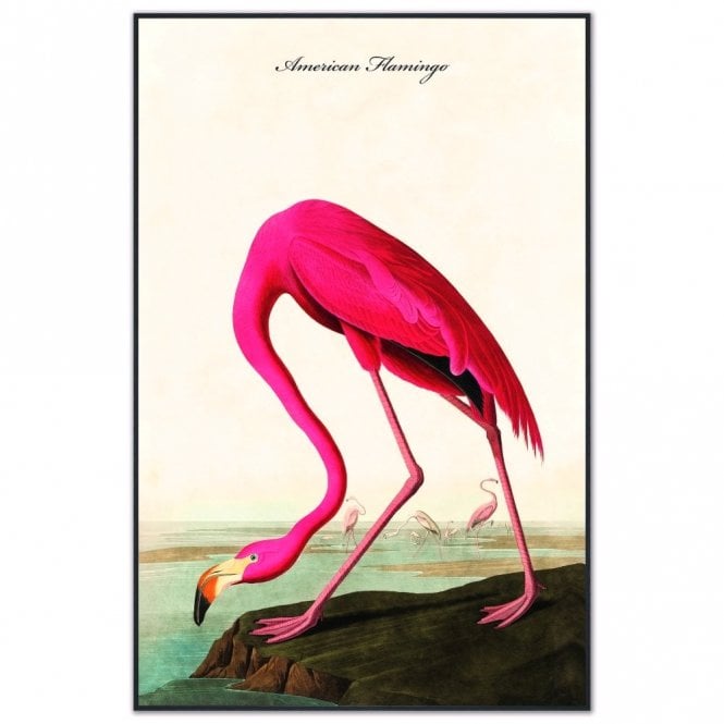American Flamingo Velvet Canvas