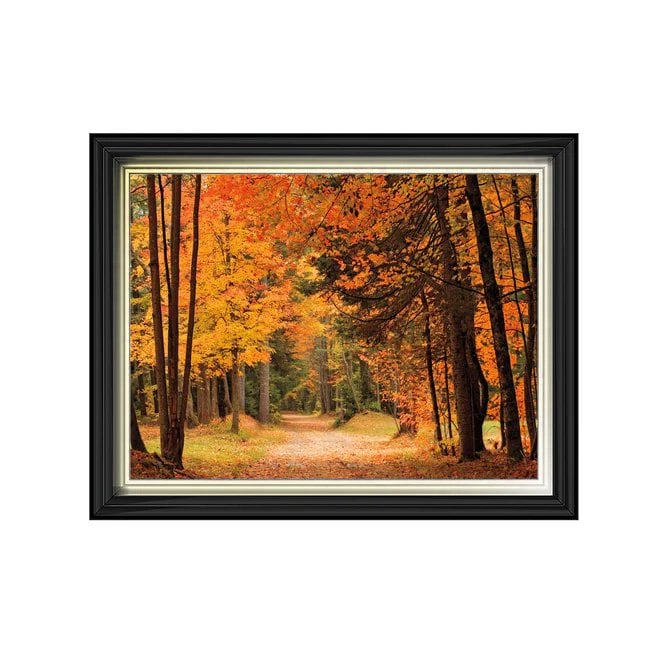 Autumn pathway - Two tone gold/black frame - Plain