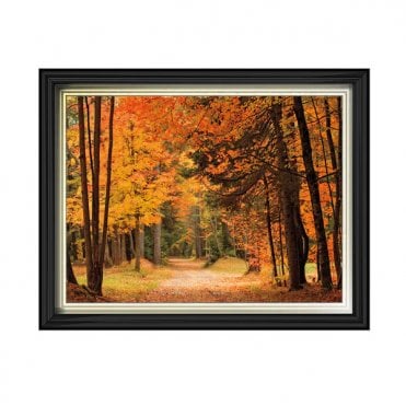 Autumn pathway - Two tone gold/black frame - Plain