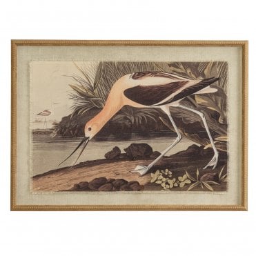 Avocet on Linen