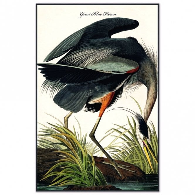 Blue Heron Velvet Canvas