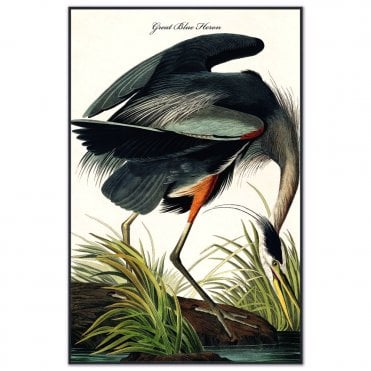 Blue Heron Velvet Canvas