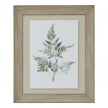 Bracken Fern with Wash Wood Frame
