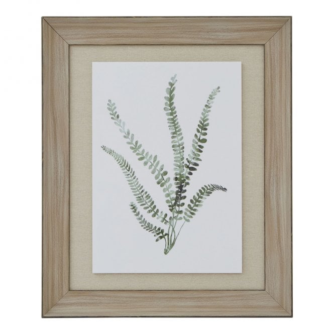 Delicate Fern with Washed Wood Frame