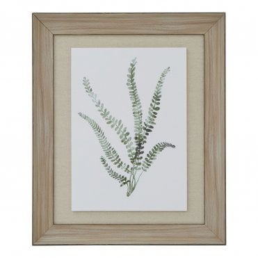 Delicate Fern with Washed Wood Frame