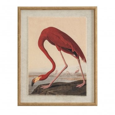 Flamingo on Linen