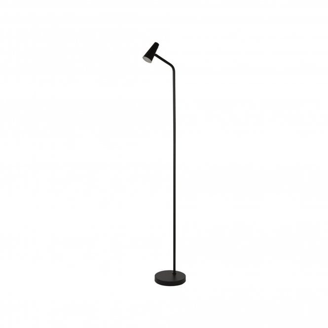 Rechargable Floor Lamp