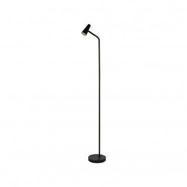 Rechargable Floor Lamp