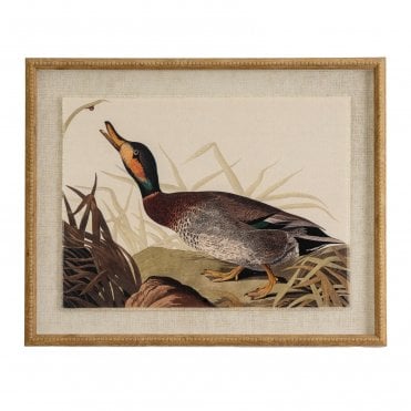 Single Duck on Linen