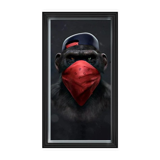 Speak no evil monkeys - Two tone silver frame - Plain