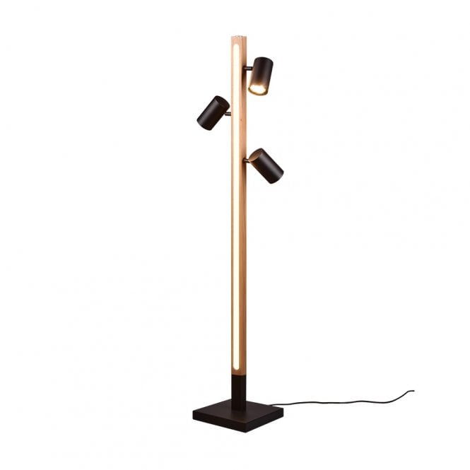 Tansley LED Floor Lamp