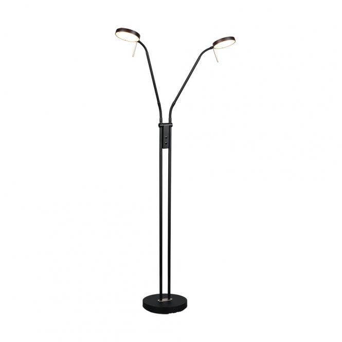 Valehurst 2 Light Floor Lamp