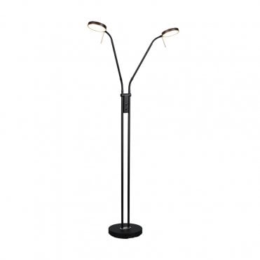 Valehurst 2 Light Floor Lamp